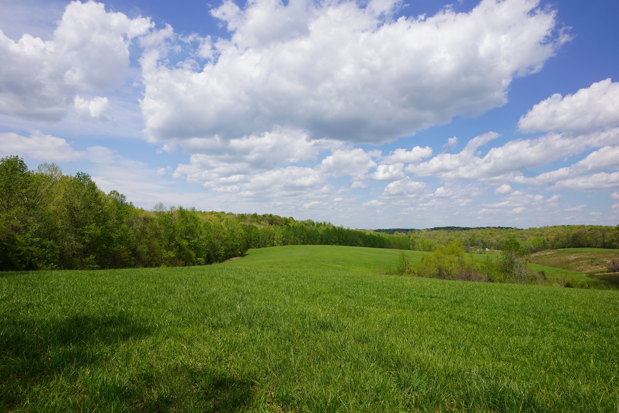 680 The Trace Dover, TN 37058 - Photo 9 of 43 a view of a green field with wooden fence