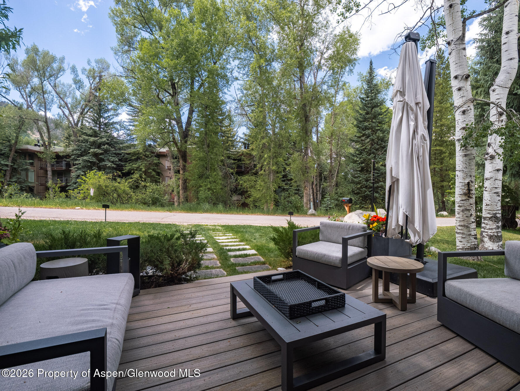 314 North Riverside Avenue, Unit 2 Aspen, CO 81611 - Photo 8 of 32 Main Level Patio