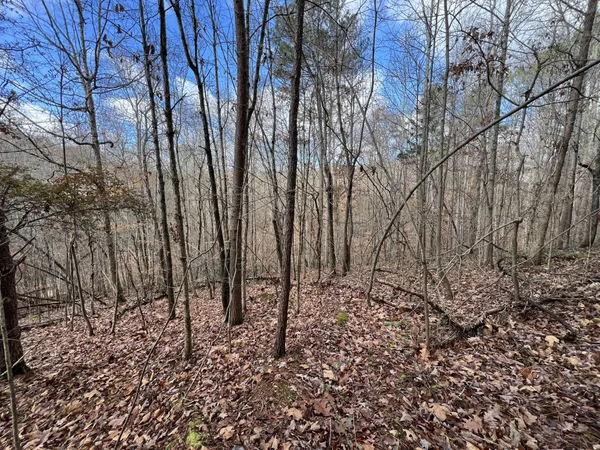 $25,000 | 0 Smyrna Road, Evensville, TN 37332