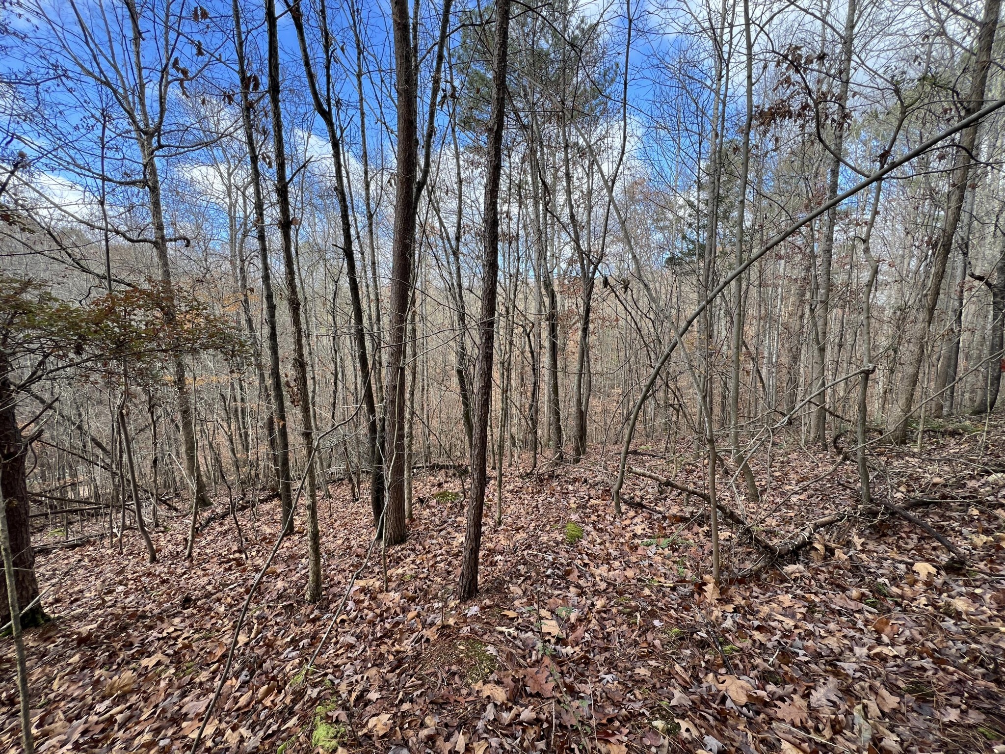0 Smyrna Road Evensville, TN 37332 - Photo 1 of 3