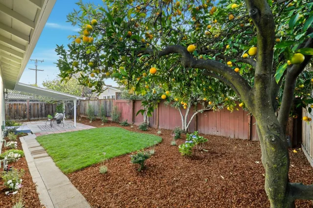 $4,299 | 841 Nectarine Avenue, Sunnyvale, CA 94087