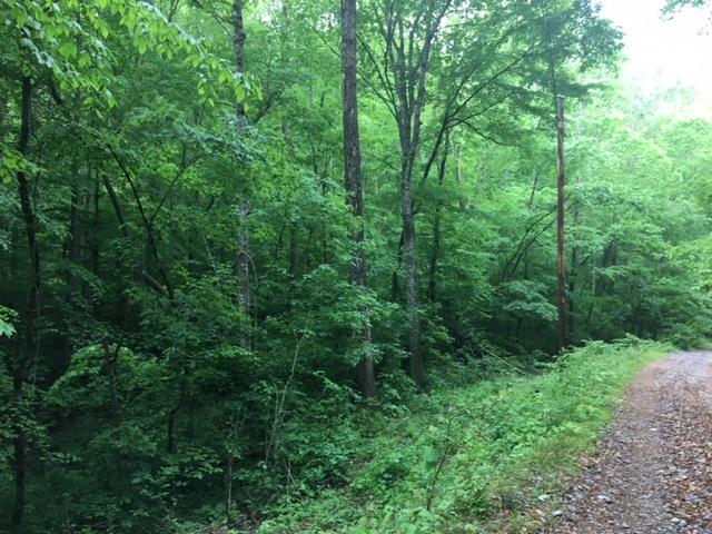 Bacon Springs Road Clinton, TN 37716 - Photo 5 of 12 Driveway/Entrance