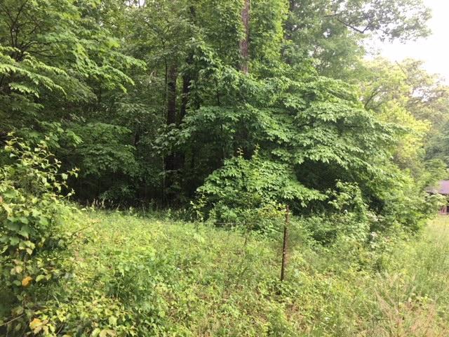 Bacon Springs Road Clinton, TN 37716 - Photo 6 of 12 Private Setting