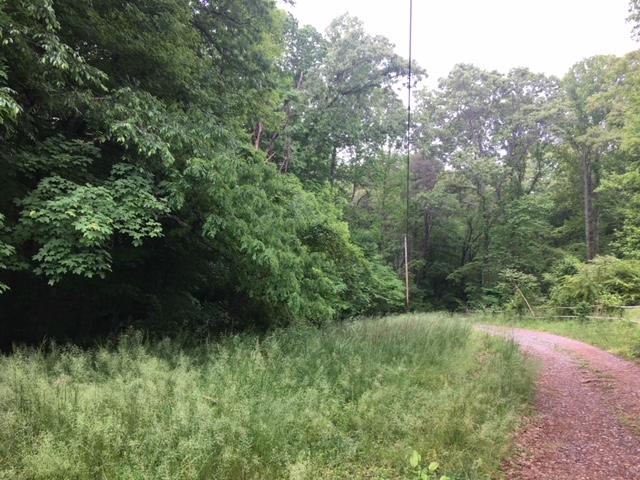 Bacon Springs Road Clinton, TN 37716 - Photo 7 of 12 Driveway/Entrance