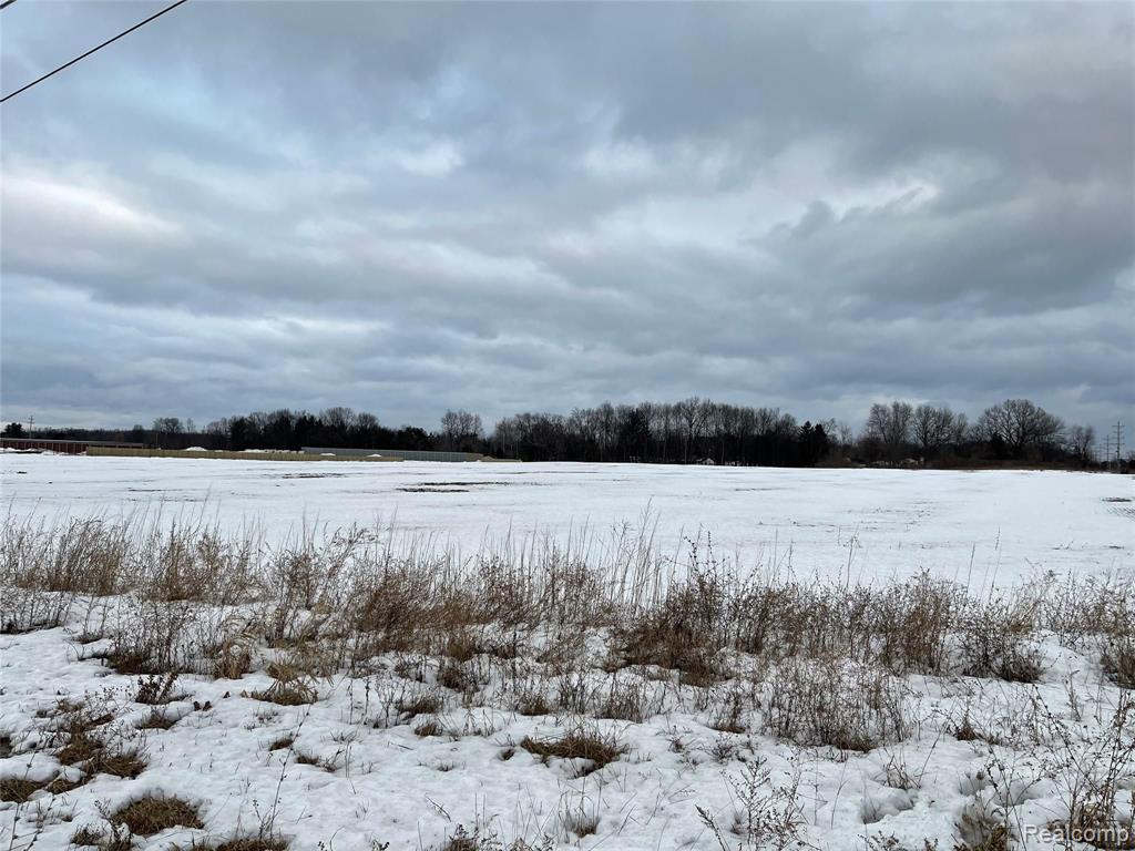 0 Torrey Road Fenton, MI 48430 - Photo 5 of 7 Gallery Image 5
