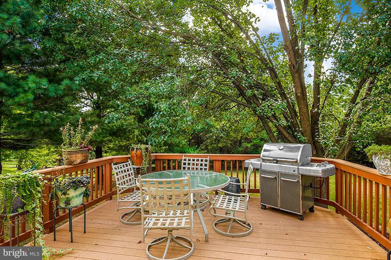 12823 Tournament Drive Reston, VA 20191 - Photo 28 of 30 Exterior (Rear)