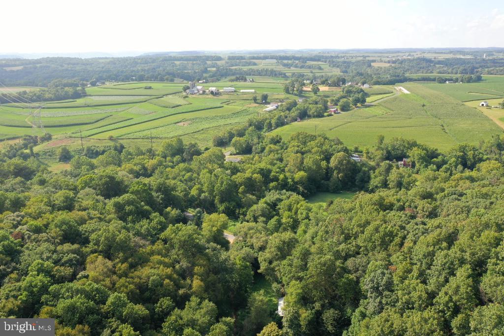 Lush green landscape meets open fields.