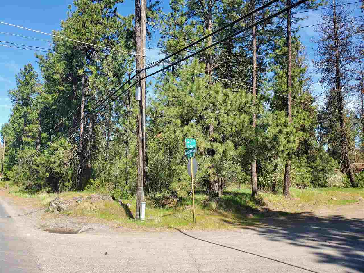 Nhn South Assembly Road, Unit SOUTH LOT Spokane, WA 99224 - Photo 2 of 14
