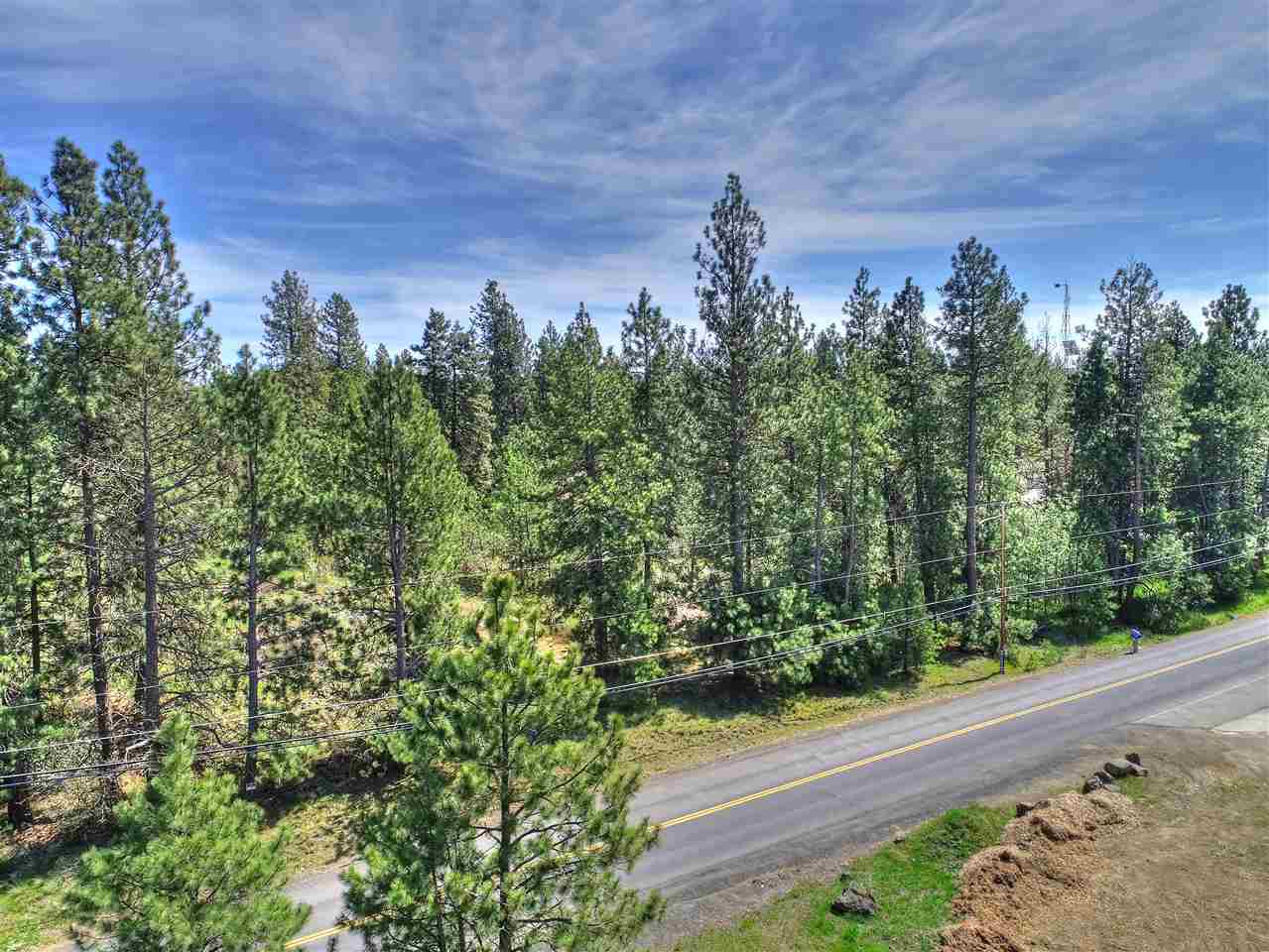 Nhn South Assembly Road, Unit SOUTH LOT Spokane, WA 99224 - Photo 11 of 14