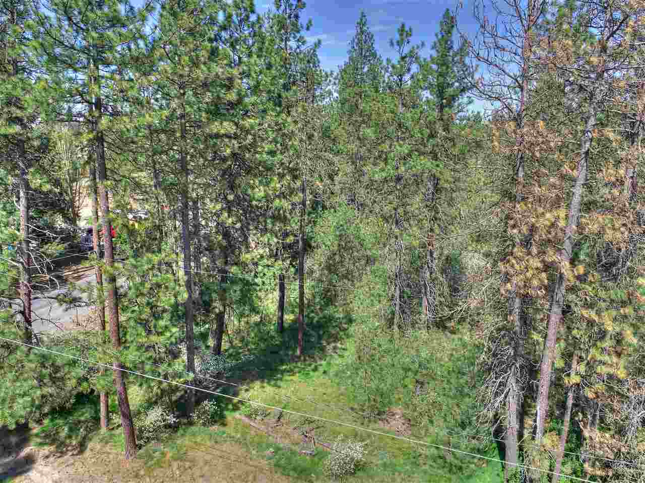 Nhn South Assembly Road, Unit SOUTH LOT Spokane, WA 99224 - Photo 13 of 14