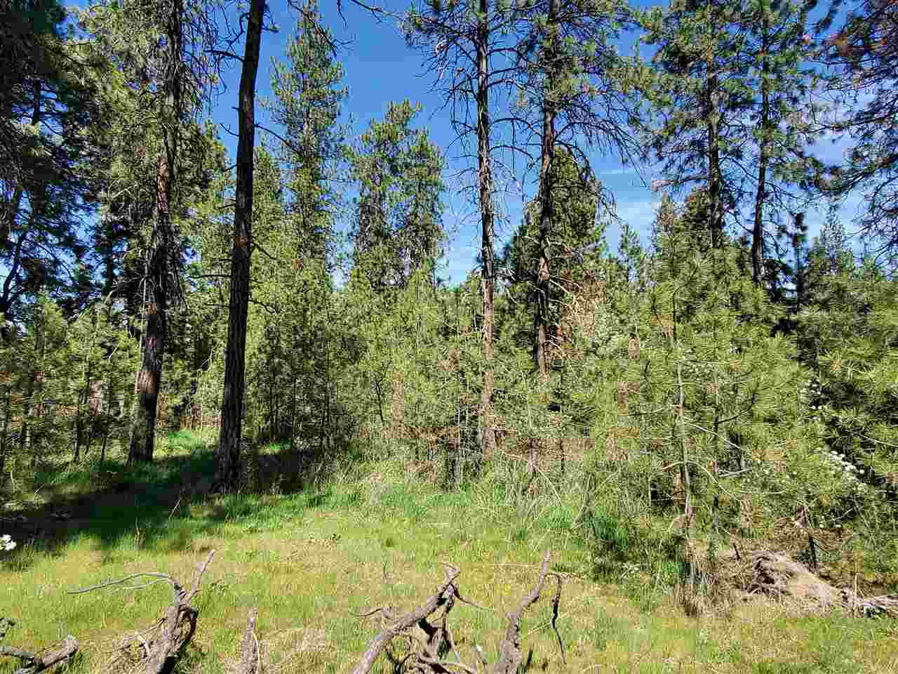 Nhn South Assembly Road, Unit SOUTH LOT Spokane, WA 99224 - Photo 5 of 14