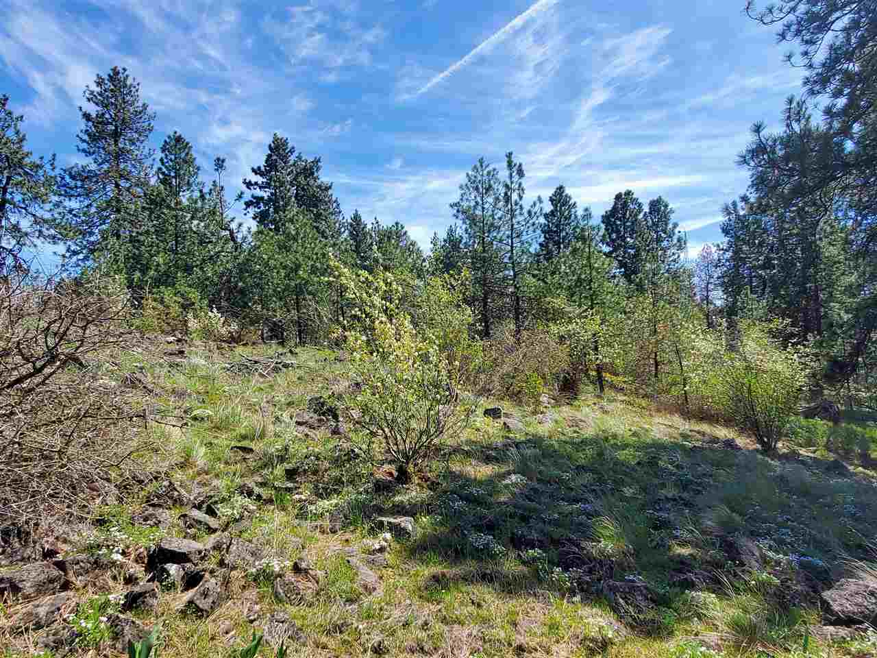 Nhn South Assembly Road, Unit SOUTH LOT Spokane, WA 99224 - Photo 6 of 14