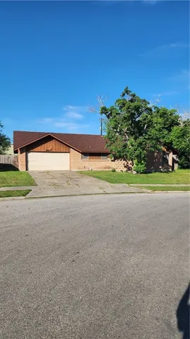 a view of a big yard with potted plants