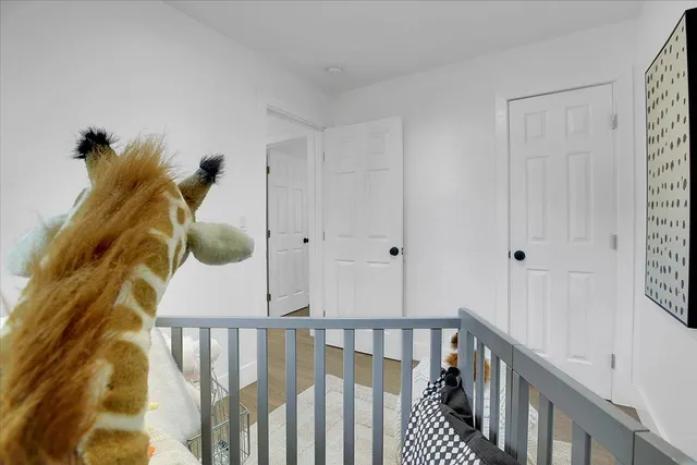 a bedroom with a large bed and a potted plant