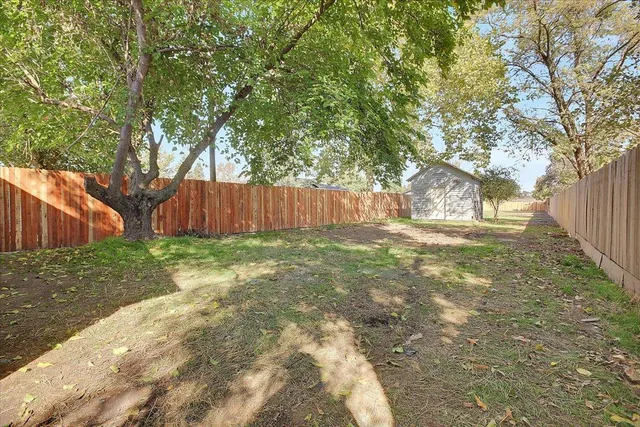 a view of yard with large trees