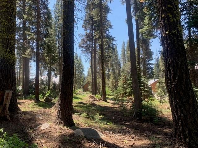 21164 Donner Pass Road Soda Springs, CA 95728 - Photo 12 of 19 Gallery Image 12
