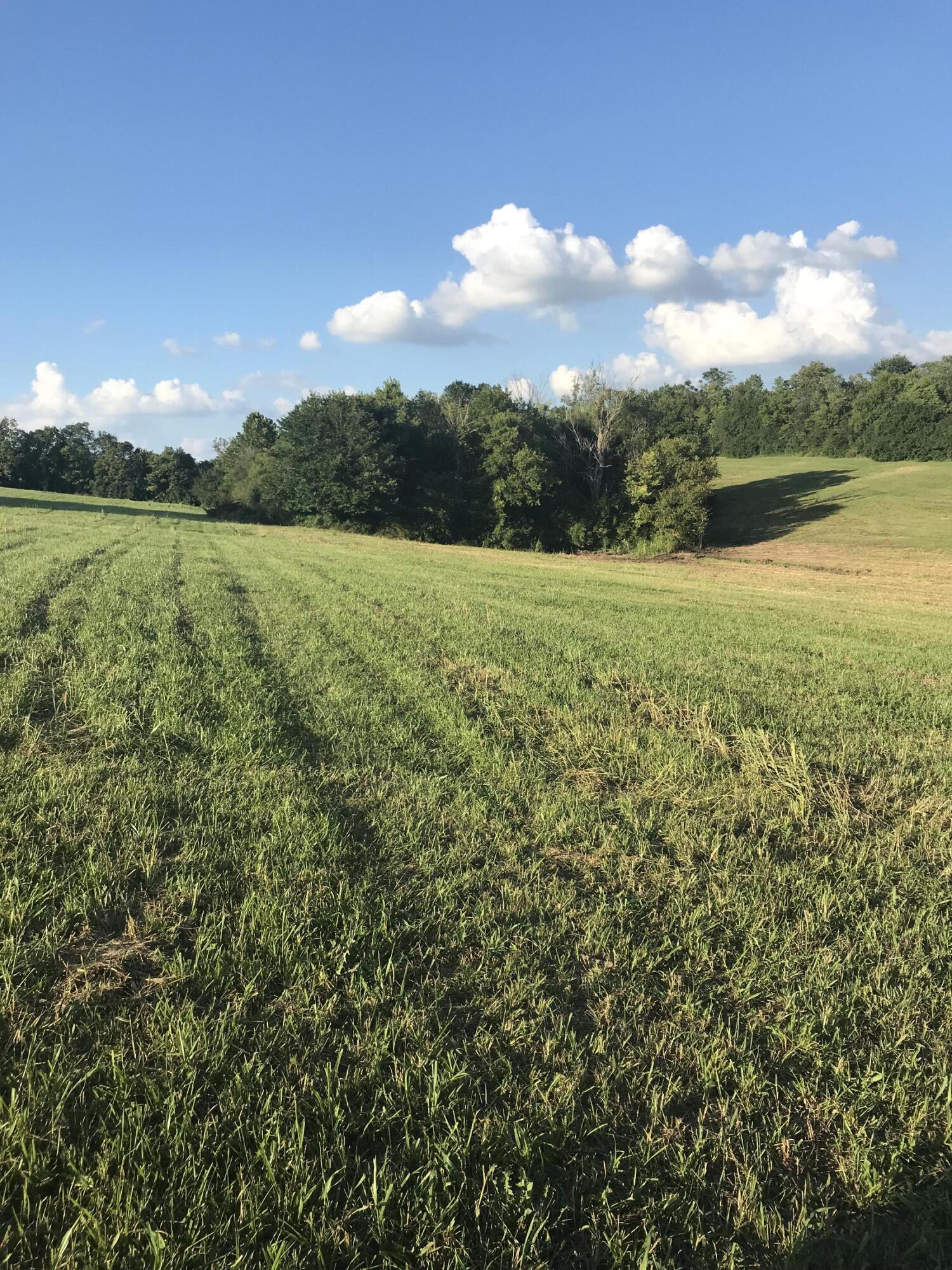 IMG_0603