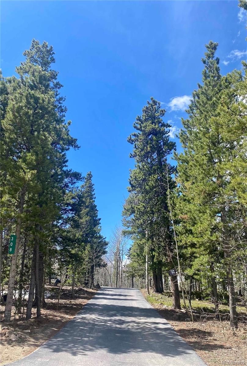 308 Rangeview Drive Black Hawk, CO 80422 - Photo 3 of 26 a view of a yard