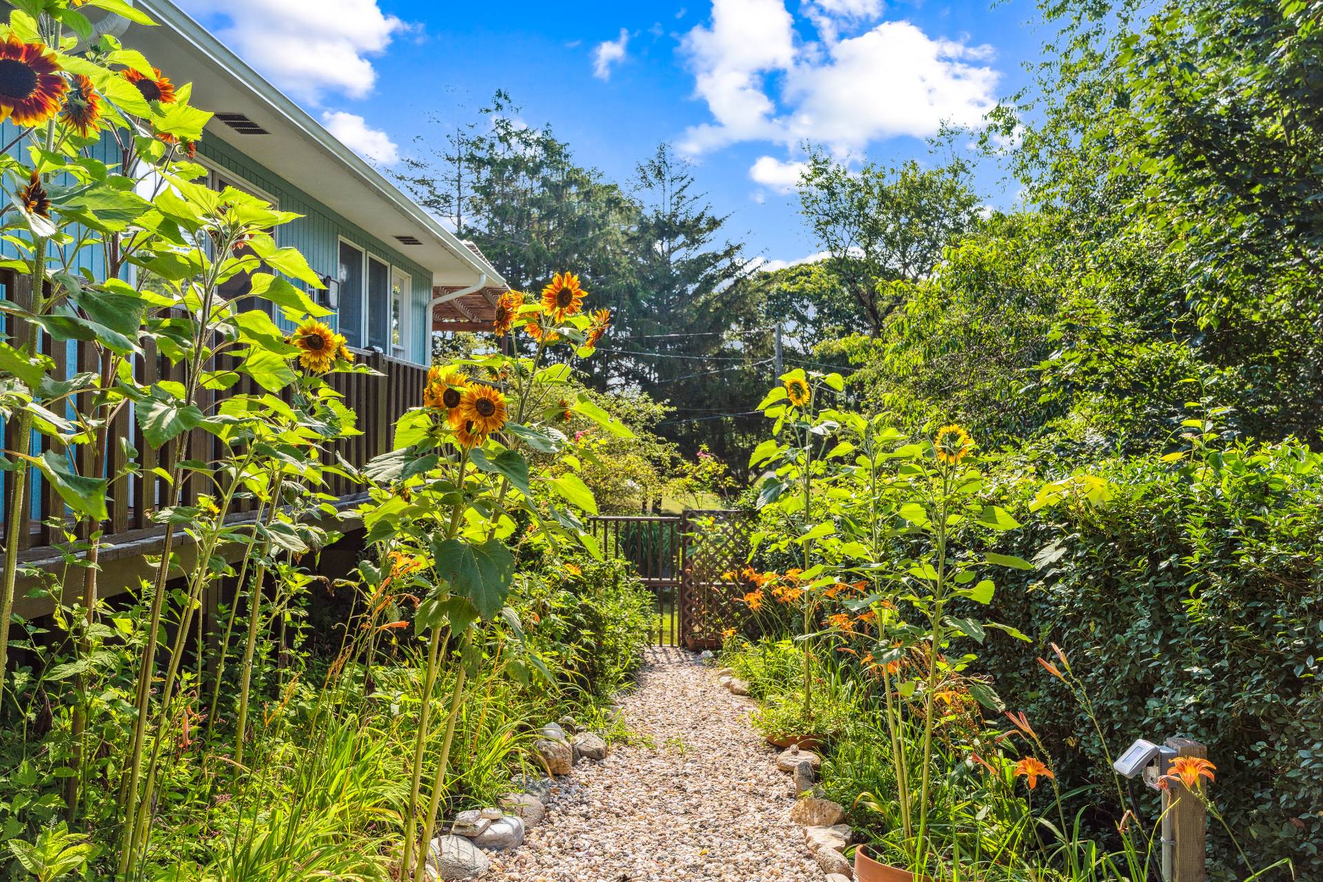 75 Bryan Road Montauk, NY 11954 - Photo 25 of 27 Gallery Image 25