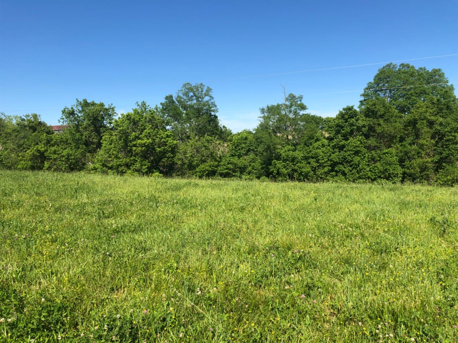 1572 Nina Ridge Road Lancaster, KY 40444 - Photo 14 of 38 Photo 14