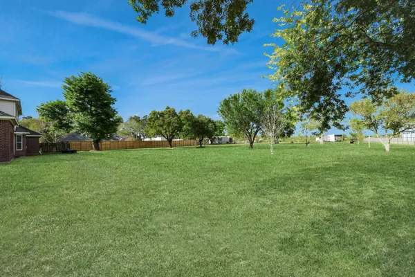 a view of yard with tree s