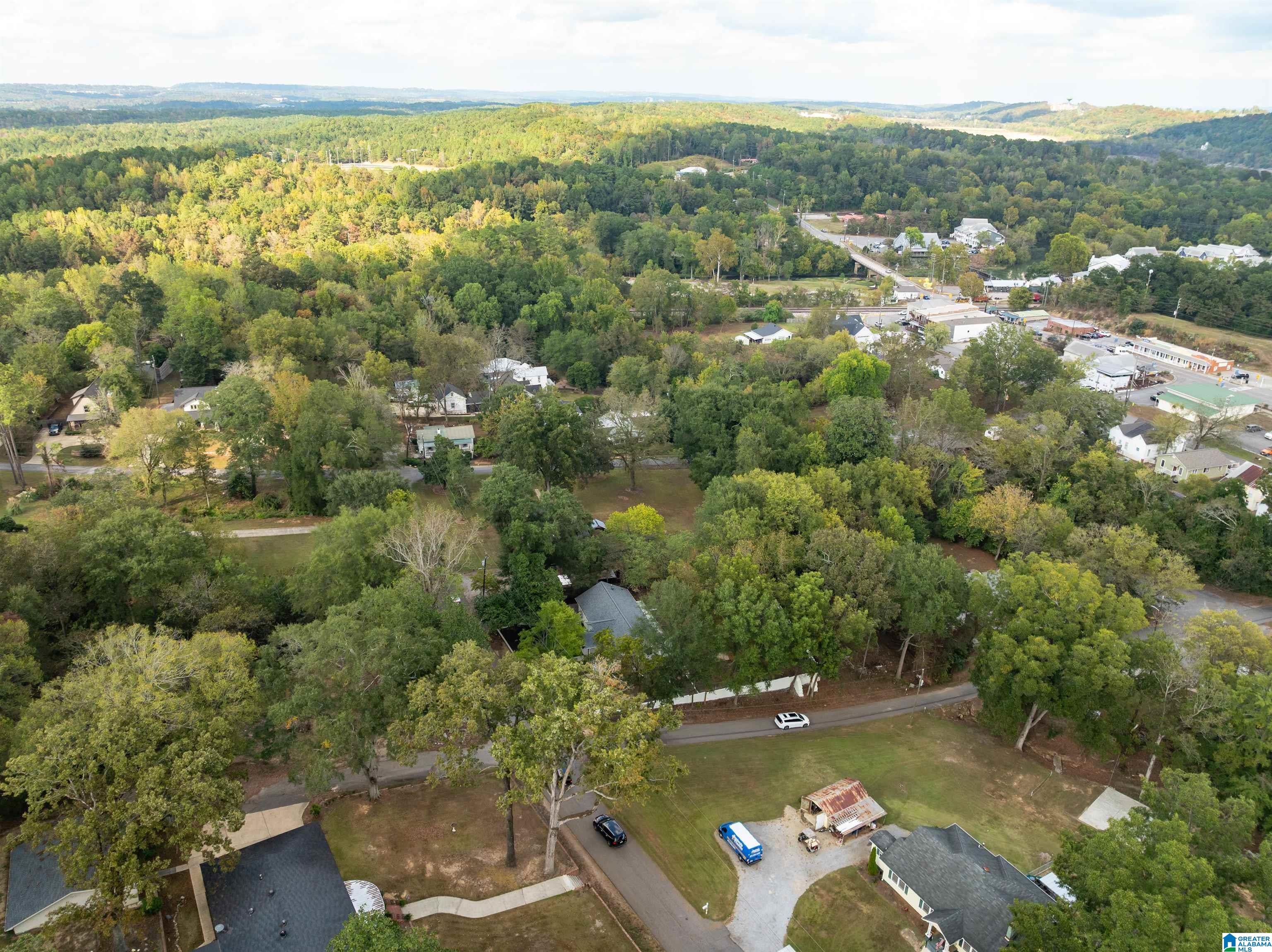 228 3rd Street Helena, AL 35080 - Photo 36 of 48