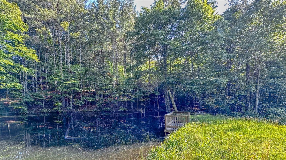 Tbd-13 Peck Peak Road Jefferson, NC 28640 - Photo 5 of 14
