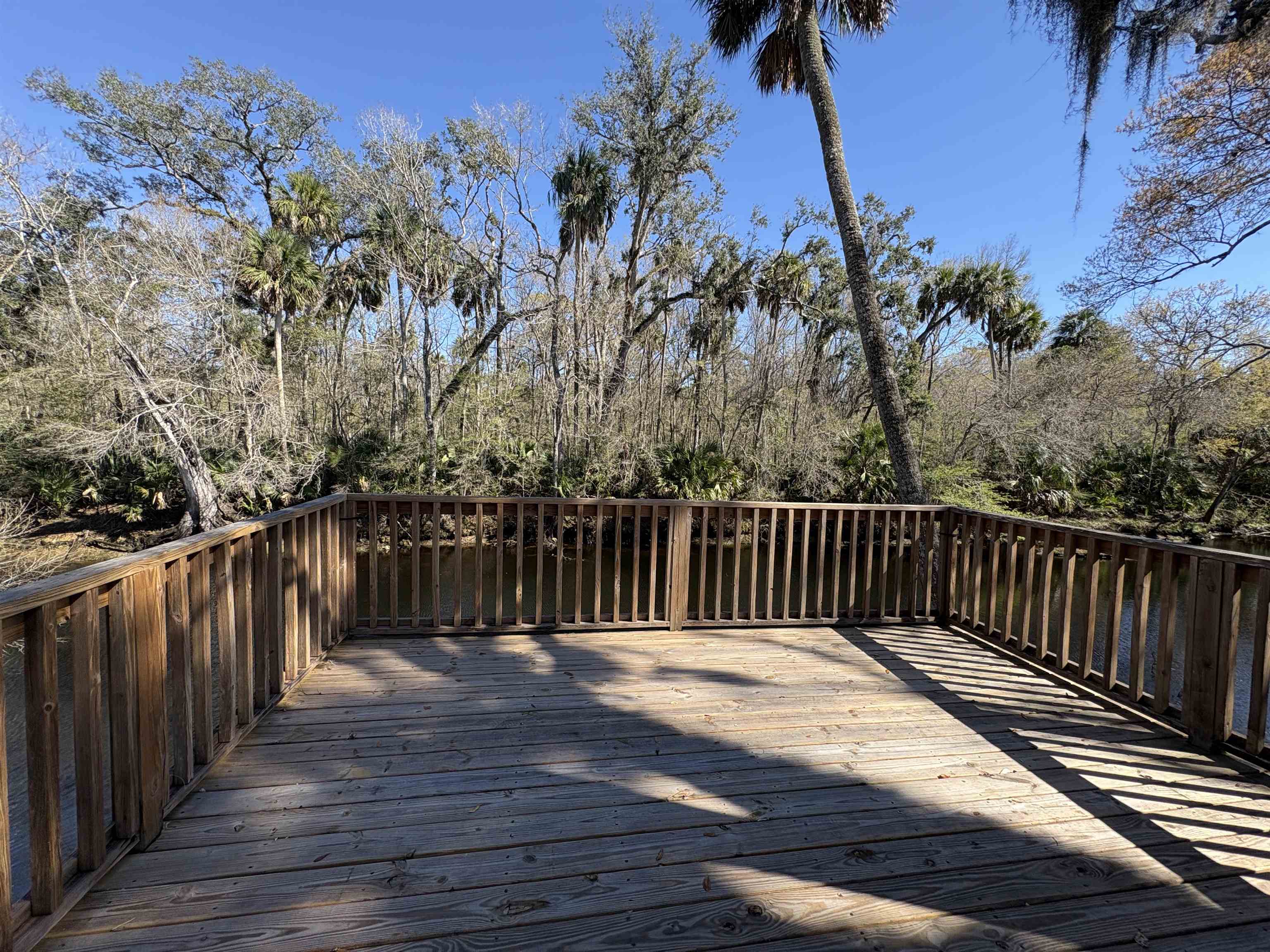 1714 River Road Steinhatchee, FL 32359 - Photo 18 of 20