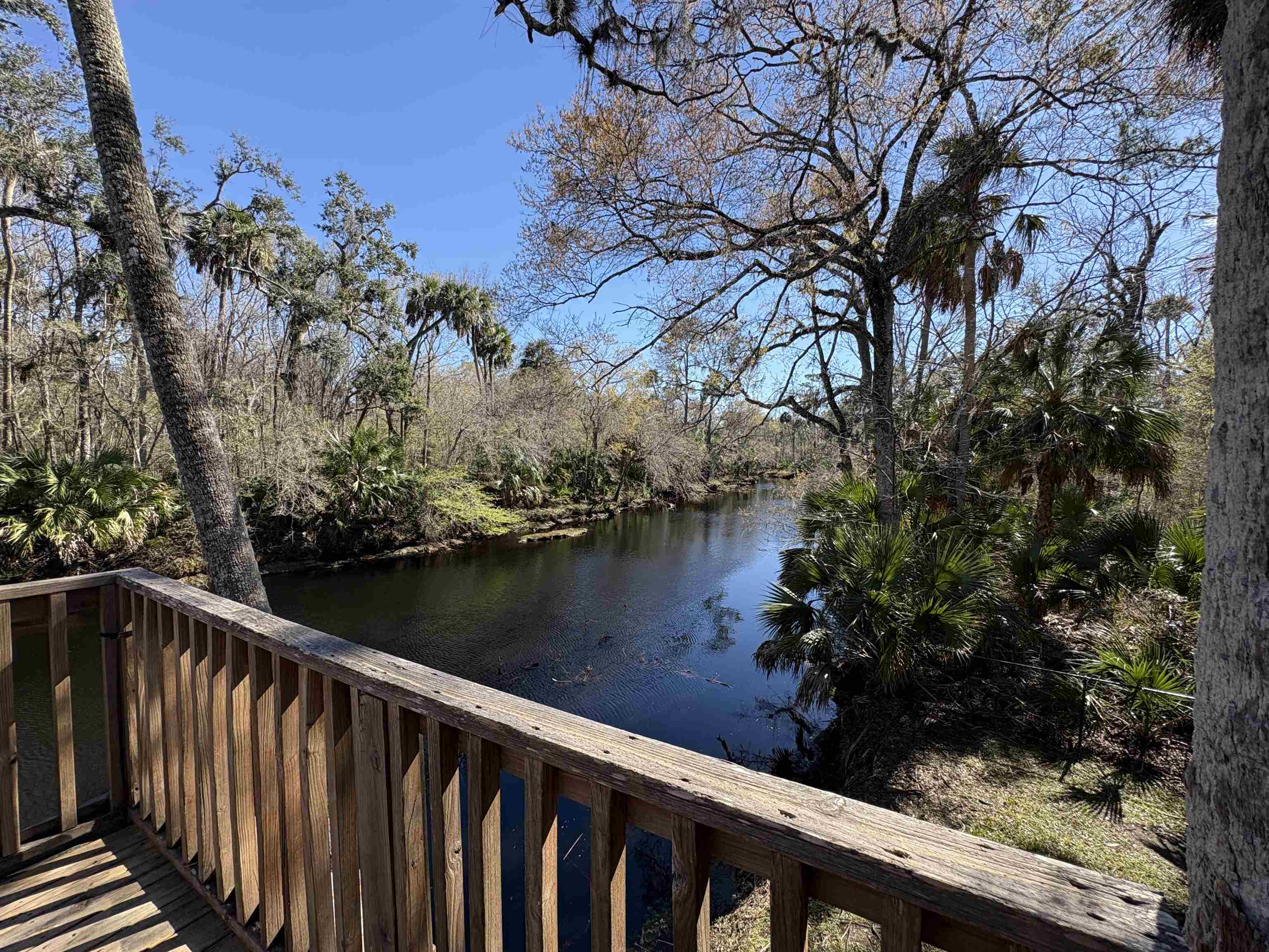 1714 River Road Steinhatchee, FL 32359 - Photo 2 of 20