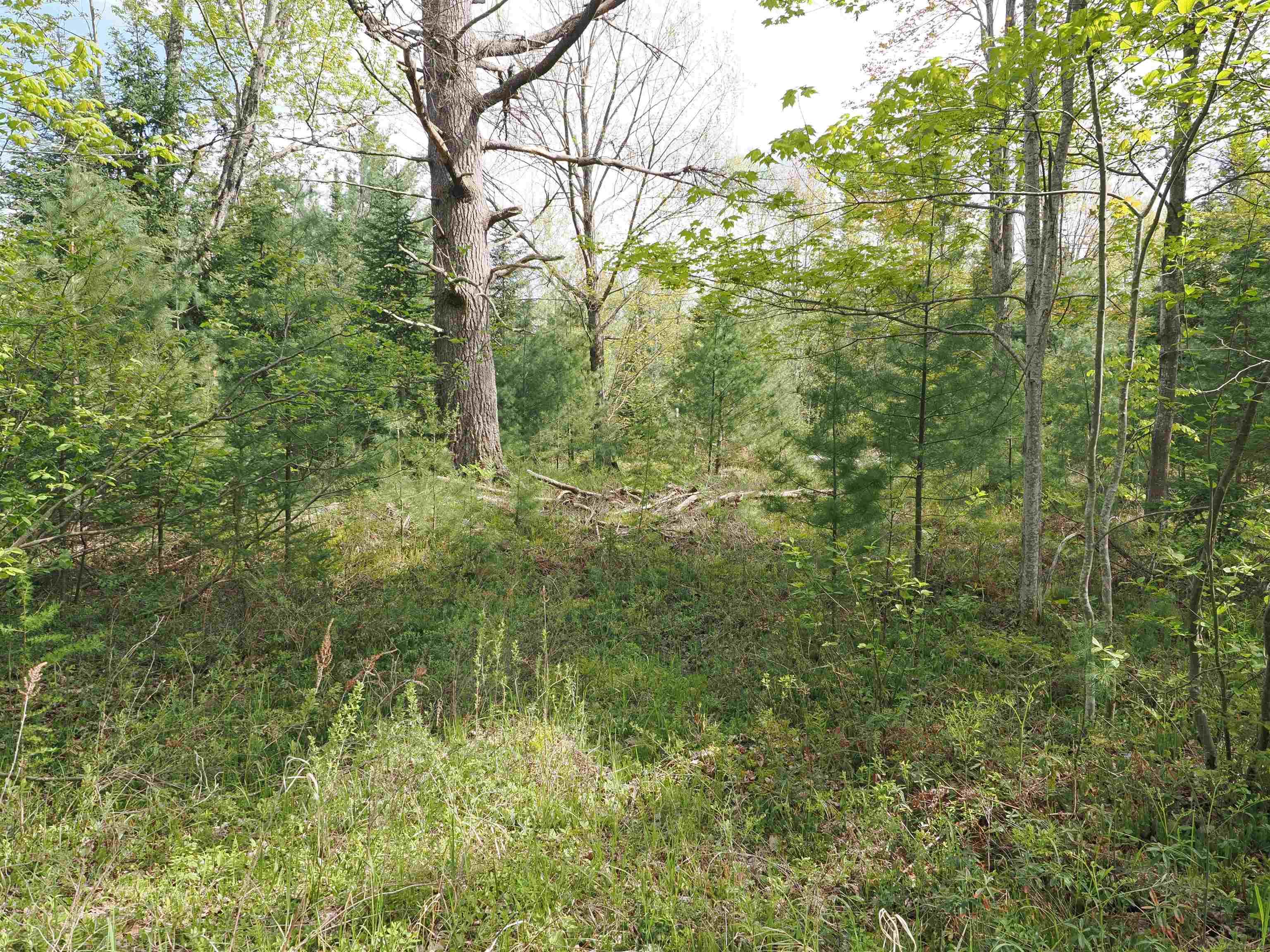 4011 Sandall Road Alpena, MI 49707 - Photo 35 of 73
