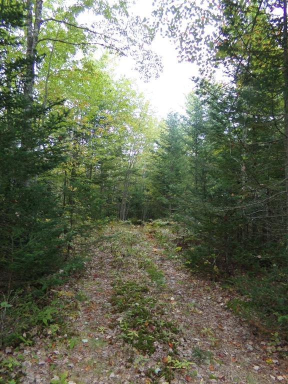 0 East Side Road Road Addison, ME 04606 - Photo 3 of 6 Photo