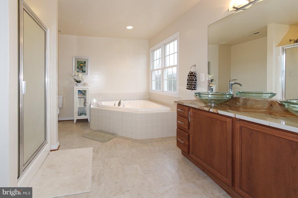 5661 Balls Mill Road Midland, VA 22728 - Photo 16 of 30 Bath (Master)