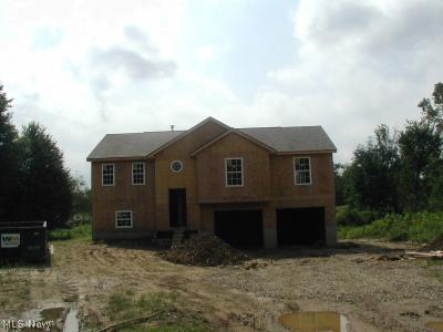 Under Construction.  Some choices can be made by buyer.
