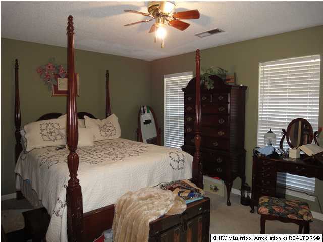 6795 West Goodman Road Walls, MS 38680 - Photo 7 of 18 Additional Photo