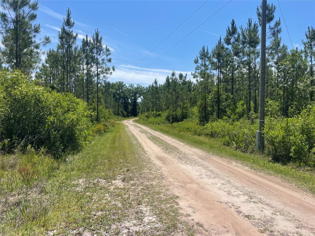 4370 Runaway Cv Road Hilliard, FL 32046 - Photo 5 of 24 Gallery Image 5