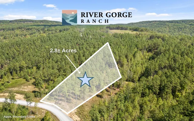 $250,000 | Lot 1098 Birds Eye Way, Guild, TN 37340