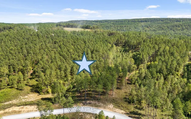 $250,000 | Lot 1098 Birds Eye Way, Guild, TN 37340
