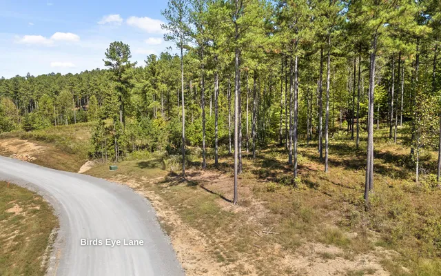 $250,000 | Lot 1098 Birds Eye Way, Guild, TN 37340