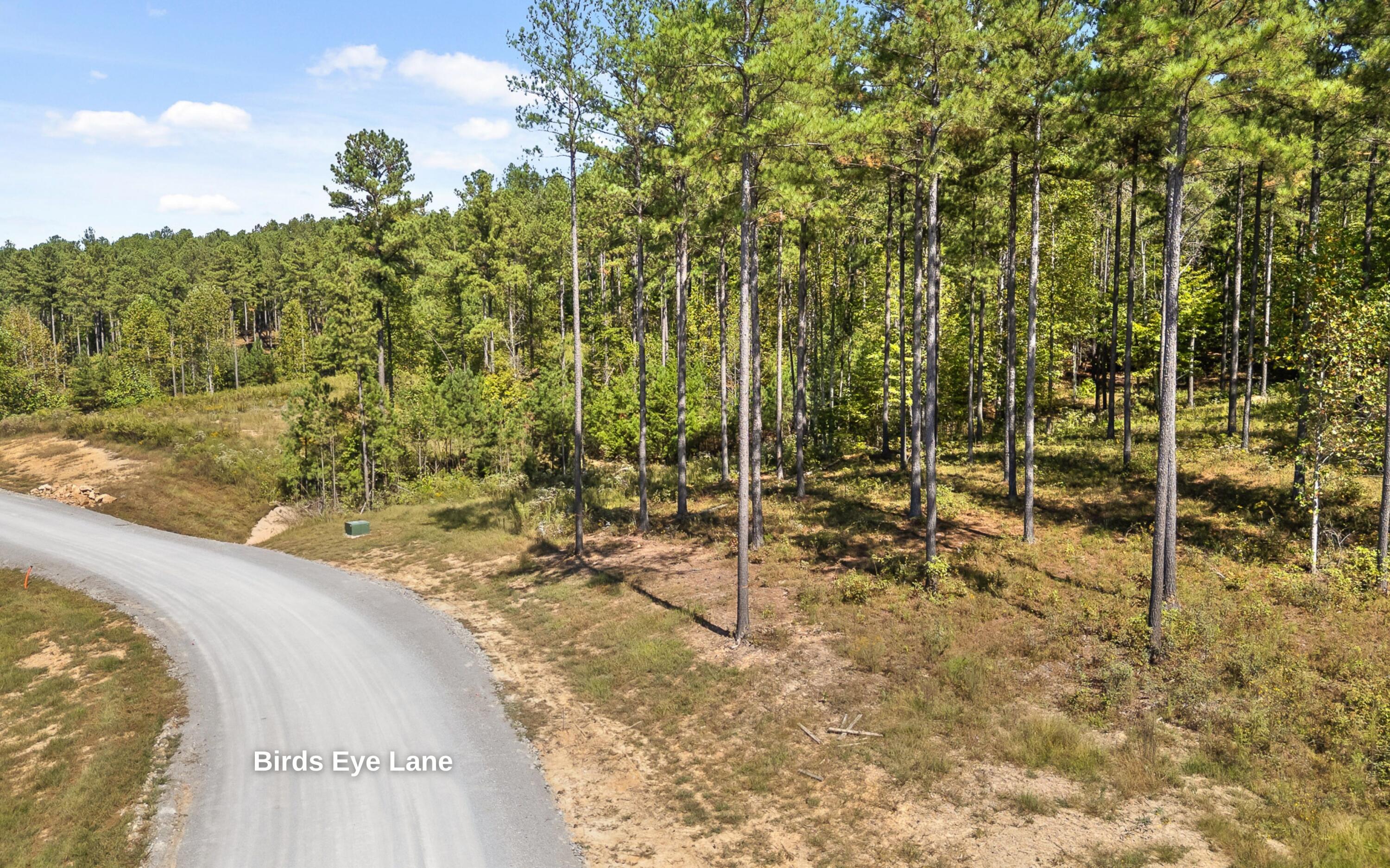 Lot 1098 Birds Eye Way Guild, TN 37340 - Photo 12 of 20 Property Frontage