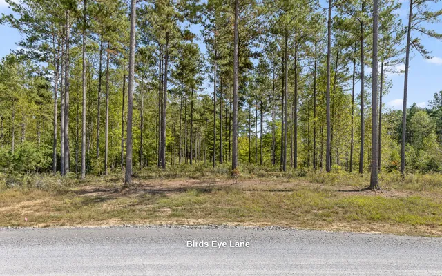 $250,000 | Lot 1098 Birds Eye Way, Guild, TN 37340