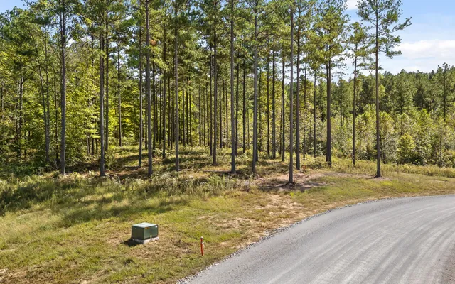 $250,000 | Lot 1098 Birds Eye Way, Guild, TN 37340