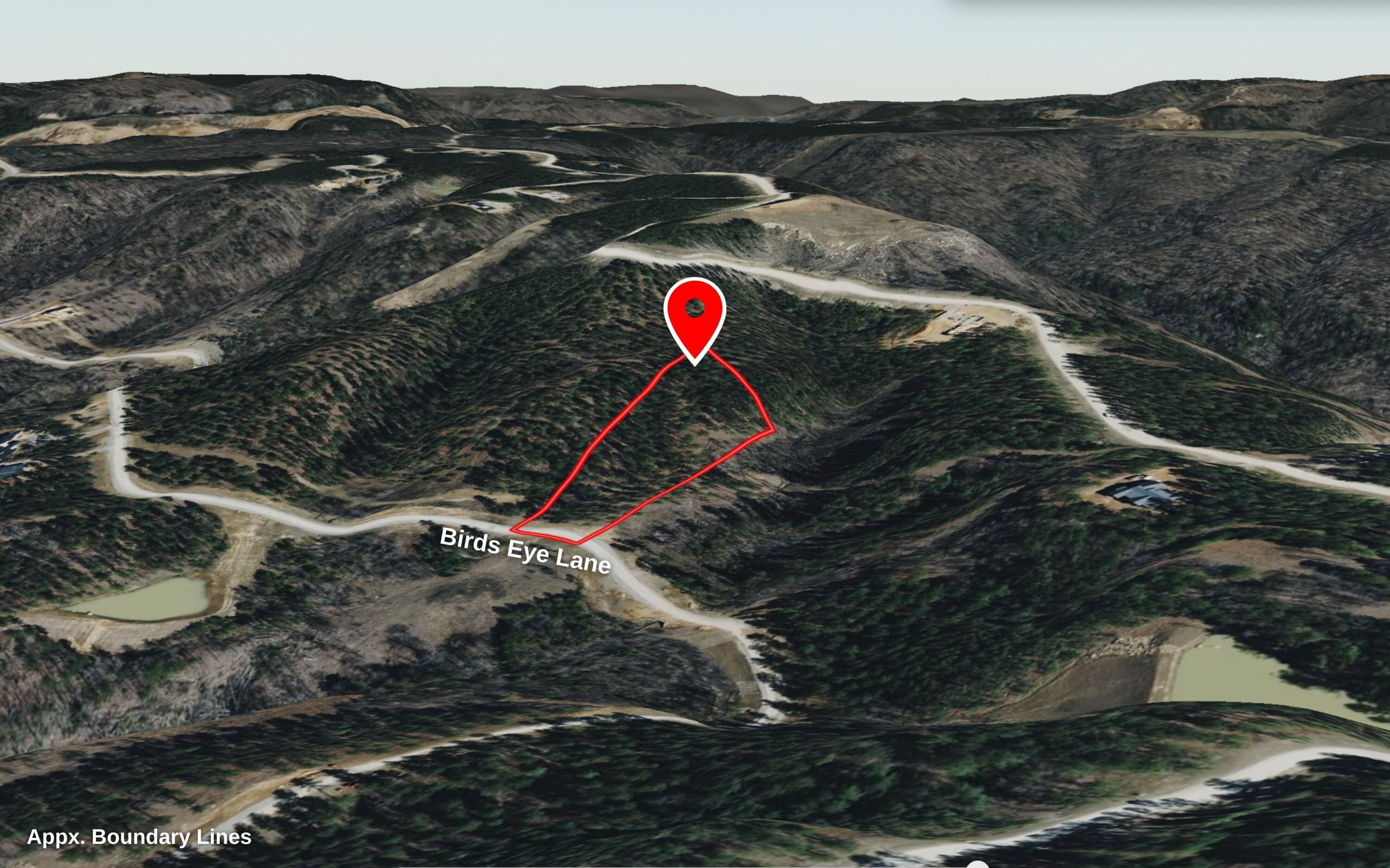 Lot 1098 Birds Eye Way Guild, TN 37340 - Photo 20 of 22 Aerial of Property Lines