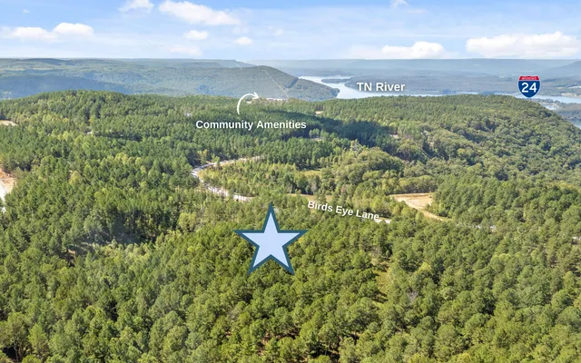 $250,000 | Lot 1098 Birds Eye Way, Guild, TN 37340