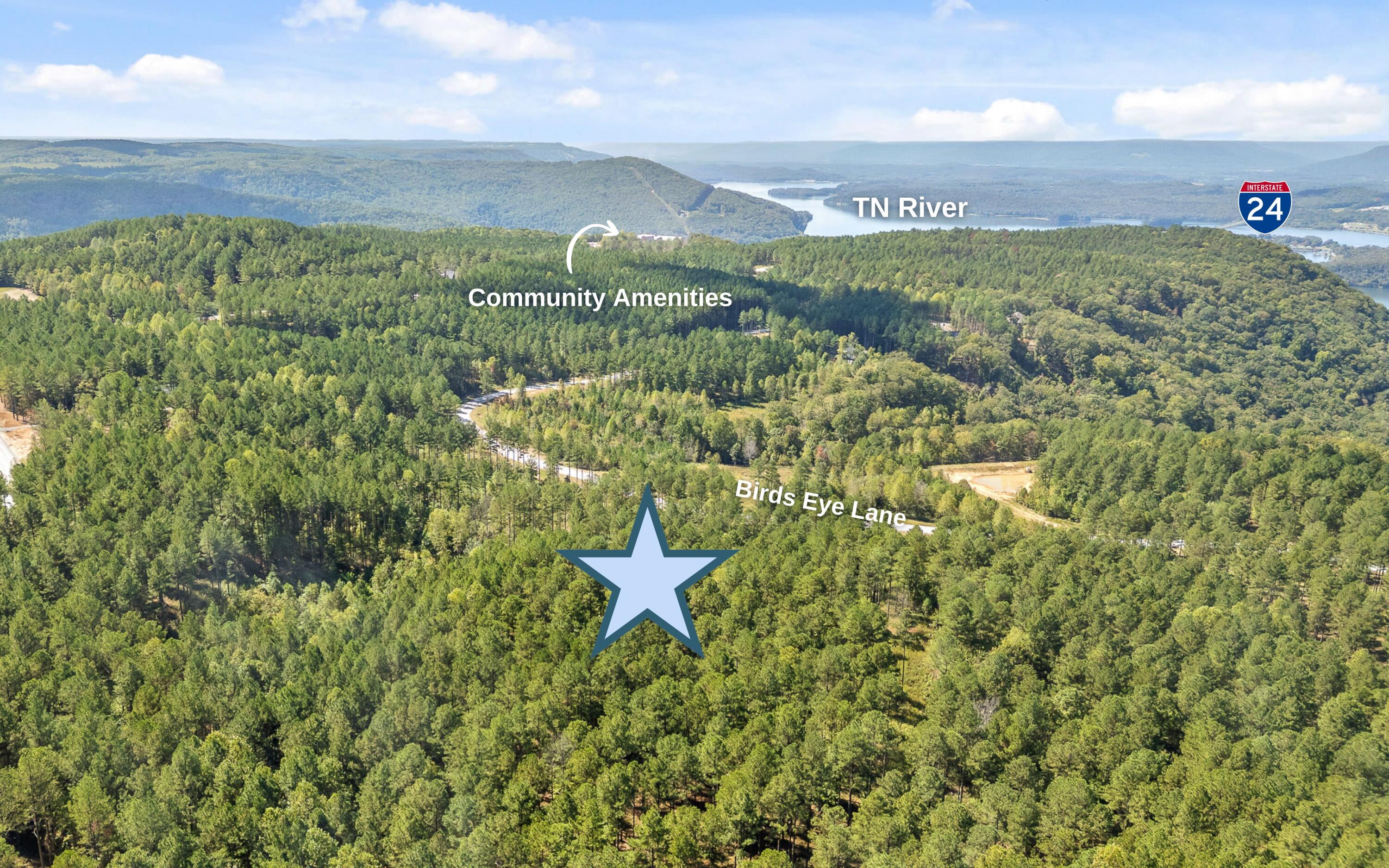 Lot 1098 Birds Eye Way Guild, TN 37340 - Photo 2 of 20 Luxury in the TN Mountains