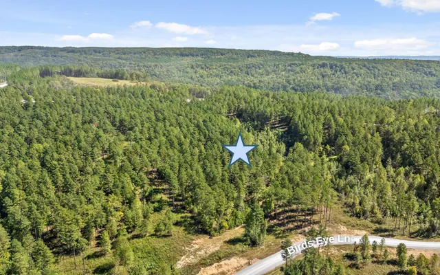 $250,000 | Lot 1098 Birds Eye Way, Guild, TN 37340