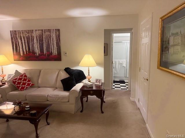 301 Commons Way, Unit A Fishkill, NY 12524 - Photo 13 of 25