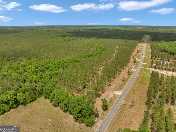 $80,000 | 0 Dewey Thomas Road, Unit LOT 7, Dexter, GA 31019