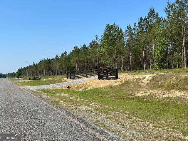 a view of outdoor space with garden