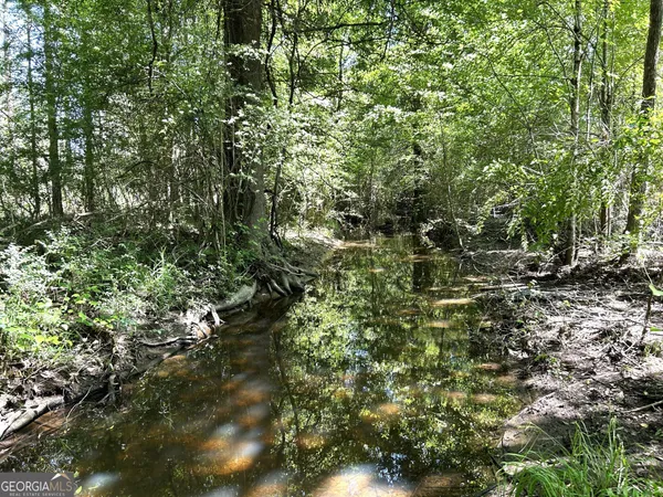 a view of forest