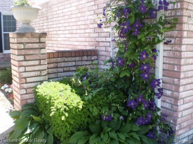 81 Manor Way, Unit 42 Rochester Hills, MI 48309 - Photo 24 of 34